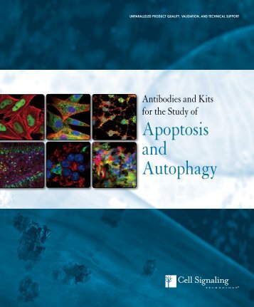 2011 Apop.pdf - Lab-JOT