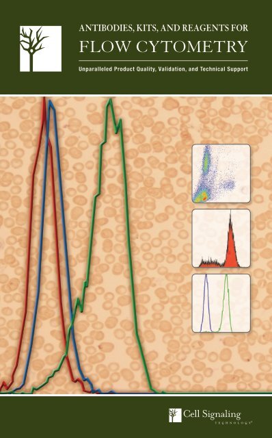 Flow Generic - Lab-JOT