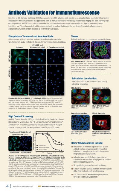 IF_2012 - 7-2012.pdf - Lab-JOT