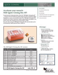 Accelerate your research: NEB quick cloning Box Hf! - Lab-JOT
