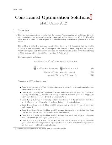 Constrained Optimization Solutions
