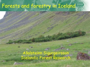 Forestry in Iceland