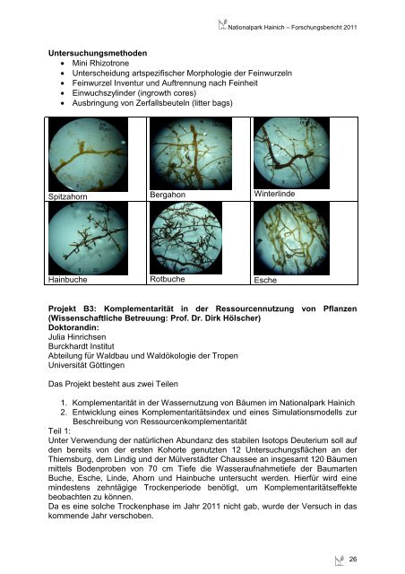 Forschungsbericht - Nationalpark Hainich
