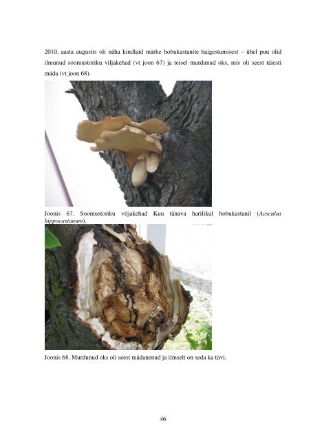 NUDI- JA VORMIPUUDE MAJANDAMISEST