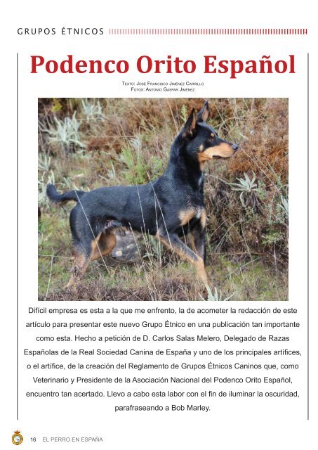 Primavera - Real Sociedad Canina de España