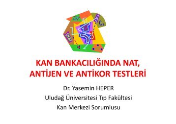 Kan Bankacılığında NAT, Antijen ve Antikor Testleri