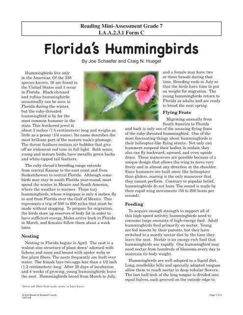 Florida's Hummingbirds