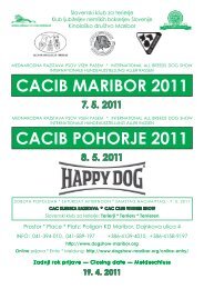 CACIB MARIBOR 2011 CACIB POHORJE 2011