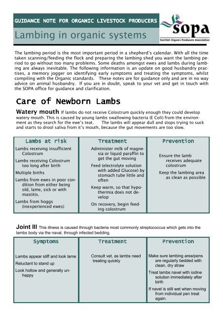 Lambing in organic systems