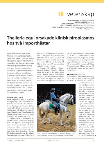 Theileria equi orsakade klinisk piroplasmos hos tvÃ¥ ... - SVA