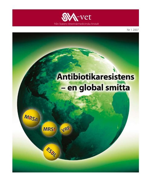 SVA-vet nr 1, 2007, pdf - Snowfall