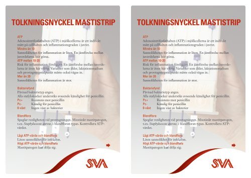 TOLKNINGSNYCKEL MASTISTRIP TOLKNINGSNYCKEL ... - SVA