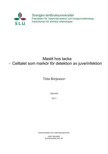 Examensarbete om subklinisk mastit pÃ¥ tacka (pdf) - SVA