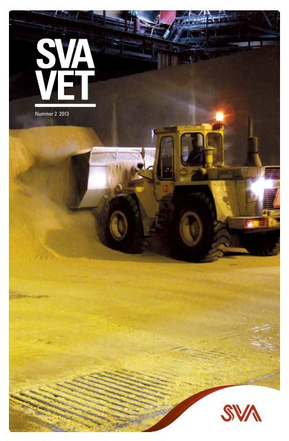 SVAvet nr 2 2013