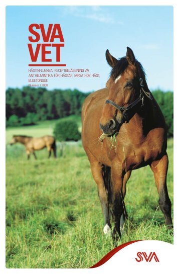 Epidemi av hÃ¤stinfluensa 2007 SVAvet nr 1 2008, sid 4 (pdf)