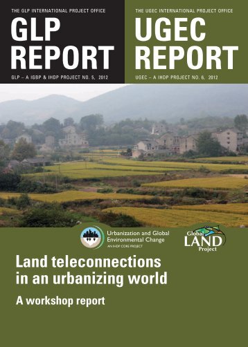 Land teleconnections in an urbanizing world - A workshop report