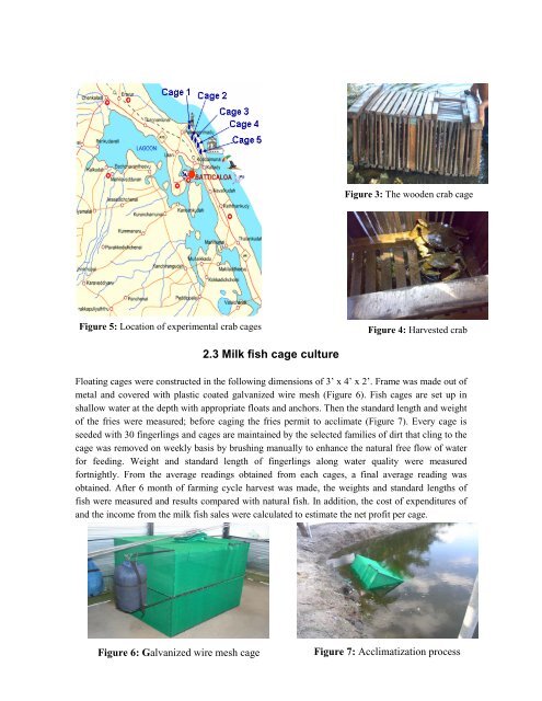 Alternative resilient livelihood option for fisher-folks tsunami victims