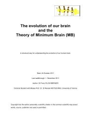 The evolution of our brain and the Theory of Minimum Brain (MB)