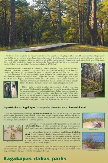 RagakÄpas dabas parks - Piekrastes biotopu aizsardzÄ«ba un ...