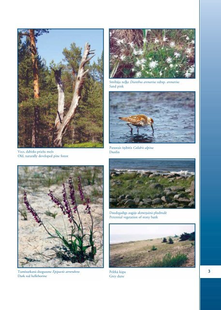 protection and management of coastal habitats in latvia - Piekrastes ...