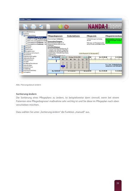 Leitfaden NANDA-I-Trainer - RECOM GmbH & Co. KG