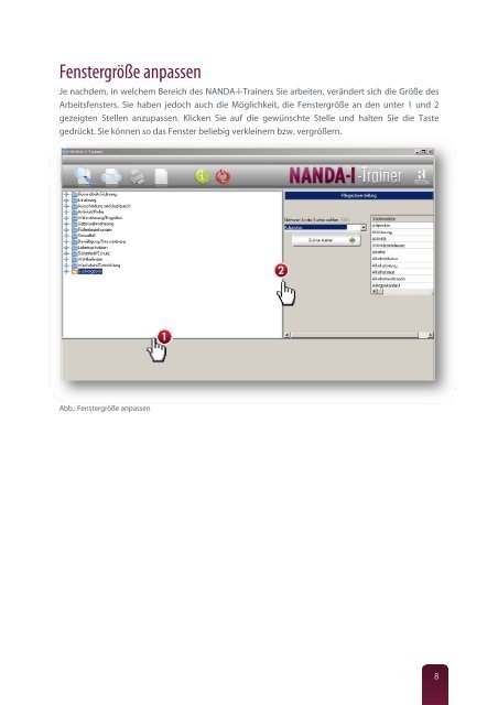 Leitfaden NANDA-I-Trainer - RECOM GmbH & Co. KG