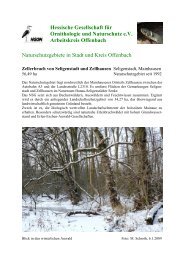Zellerbruch von Seligenstadt und Zellhausen - hgon-offenbach.de