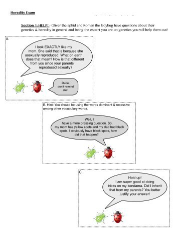 Heredity & Genetics Test - Century Life Science