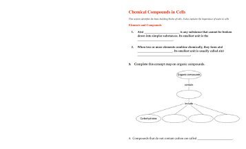 Chemical Compounds in Cells Worksheet - Century Life Science