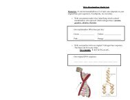 DNA Marshmallow Model Lab - Century Life Science