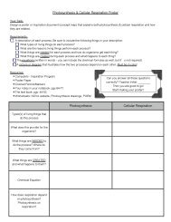 Photosynthesis & Cellular Respiration Poster Instructions