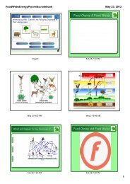 Food Chains & Food Webs - Century Life Science