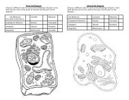 Plant-Animal Cell Diagram Coloring Sheet - Century Life Science