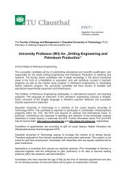 University Professor (W3) for âDrilling Engineering ... - TU Clausthal