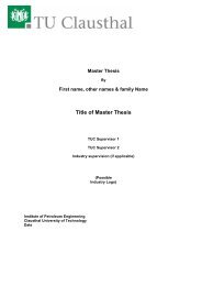 Title of Master Thesis - Institut fÃ¼r ErdÃ¶l