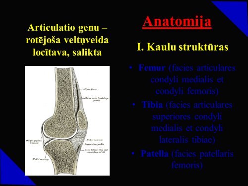 Patella