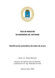 TESIS DE MAGISTER - Pablo Behrend - Iidia.com.ar