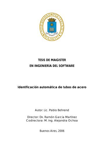 TESIS DE MAGISTER - Pablo Behrend - Iidia.com.ar