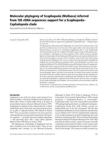 phylogeny of scaphopoda.pdf - Department of Marine Sciences