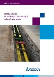 Safety advice for working in the vicinity of natural gas pipes (PDF ...