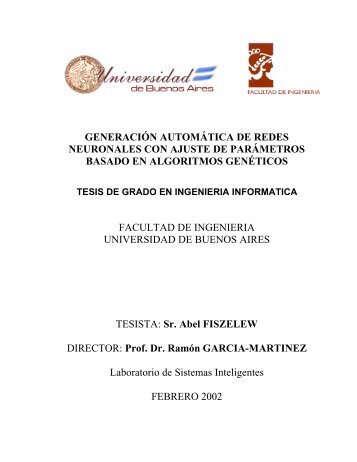 GeneraciÃ³n AutomÃ¡tica de Redes Neuronales con ... - Laboratorios