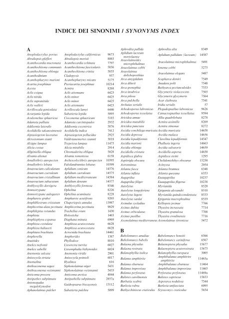 INDICE DEI SINONIMI / SYNONYMS INDEX - SIBM