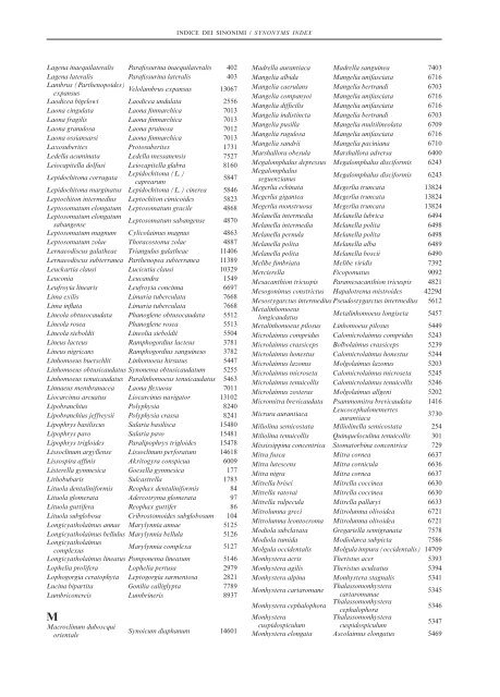 INDICE DEI SINONIMI / SYNONYMS INDEX - SIBM