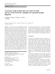 Crenosoma vulpis in dog - Parassitologia.unina.it - UniversitÃ  degli ...