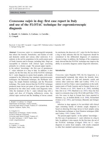 Crenosoma vulpis in dog - Parassitologia.unina.it - UniversitÃ  degli ...