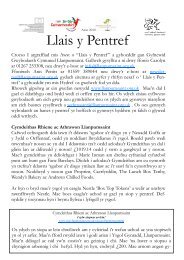 Llais y Pentref - Llanpumsaint Community Information Exchange