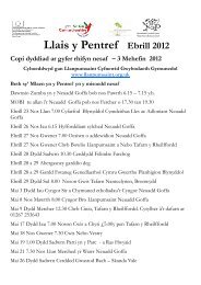Llais y Pentref Ebrill 2012 - Llanpumsaint Community Information ...