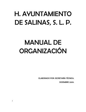 H. AYUNTAMIENTO DE SALINAS, S. L. P. MANUAL DE ... - Cefim