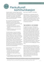 Flerkulturell kommunikasjon