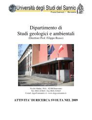 DI RICERCA SVOLTA NEL 2009 - Dipartimento di Studi Geologici e ...